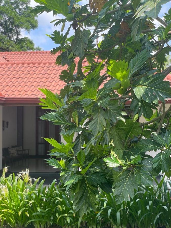 Villa Crystals Malabe Bagian luar foto
